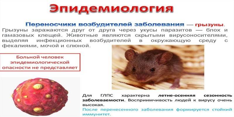 Fiebre hemorrágica