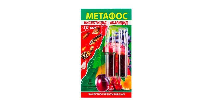 Oznacza metafos
