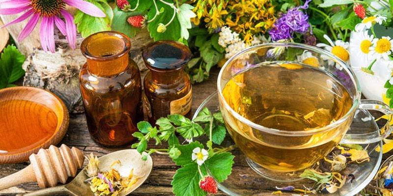 Hierbas medicinales, infusiones y decocciones.