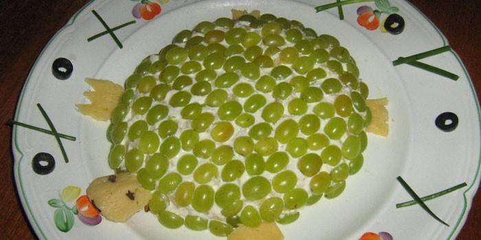 Tartaruga