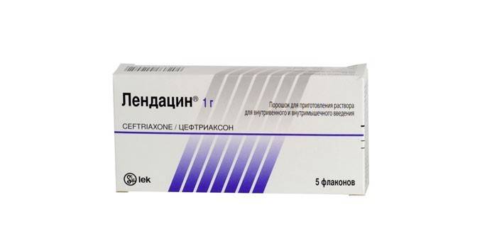 Lendacyna w butelkach