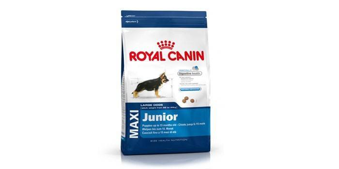 Krmivo pre psov Royal Canin Maxi Junior
