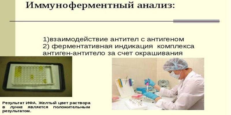 Imunologická imunotest