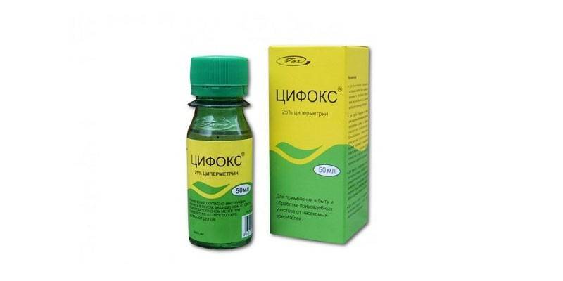 Znamená Tsifoks