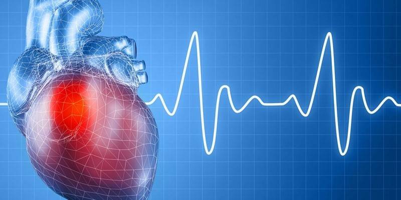Gráfico de coração e ECG