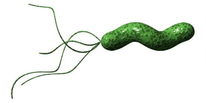 Eliminacja Helicobacter pylori