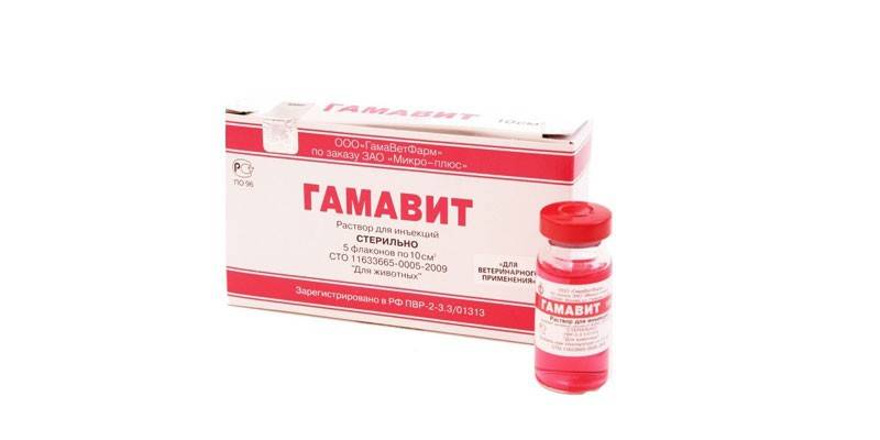 Gamavit narkotyków