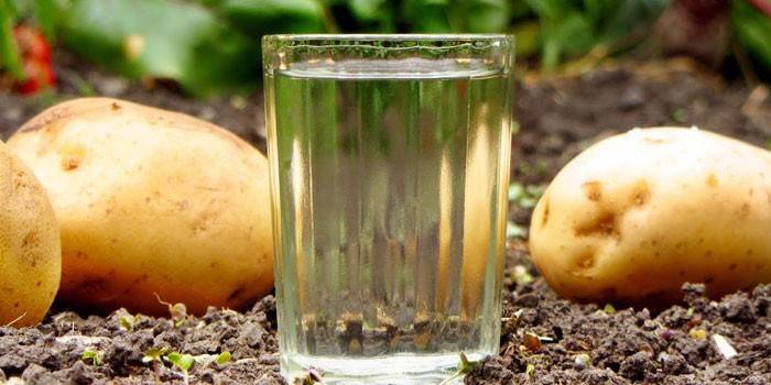 Moonshine en un vaso y papas