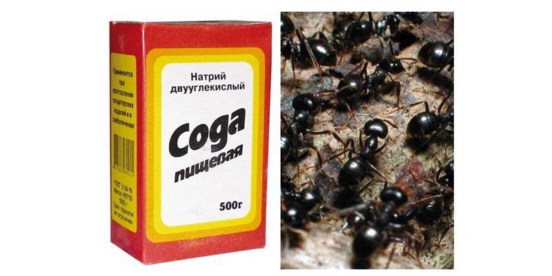 Roztwór sody mrówkowej