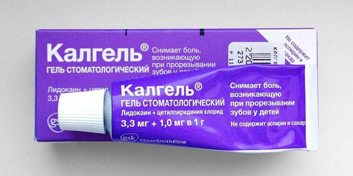 Dental Calgel