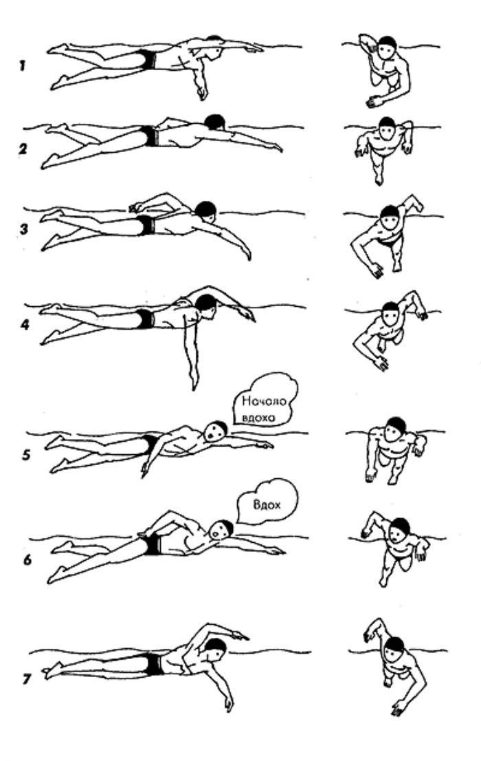 Rastreo: instrucciones paso a paso