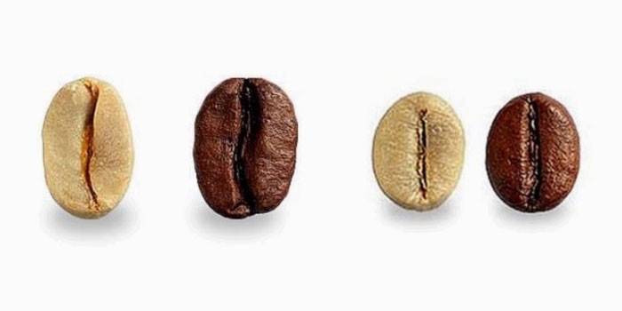 Arabika i Robusta przed i po smażeniu