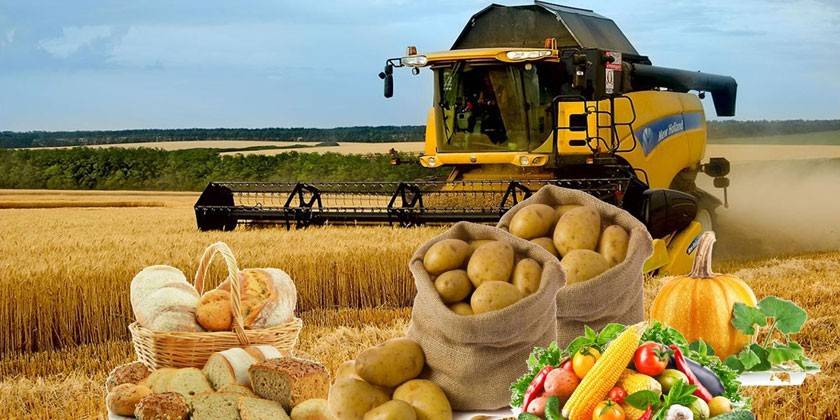 Actividades agricolas para la USP