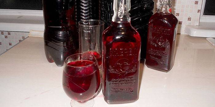 Winogrono Isabella