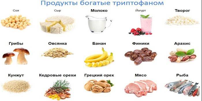 Productos de aminoácidos