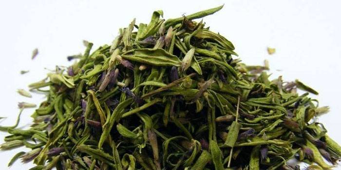 Hojas secas y pétalos