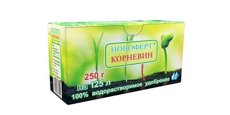Hnojivo pre thuju