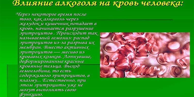 El efecto del alcohol en la sangre.