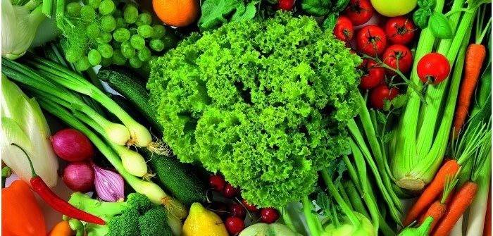Nutrición adecuada durante el tratamiento.