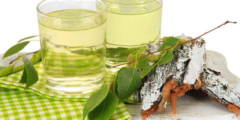Suco de bétula em copos