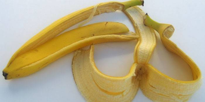 Casca de banana