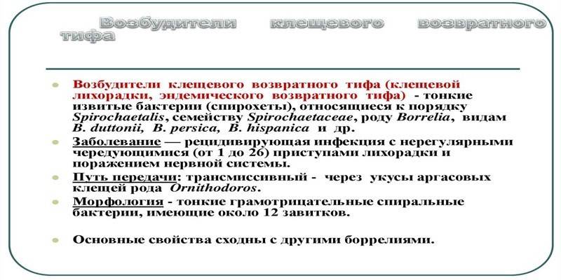 Nawracająca gorączka przenoszona przez kleszcze