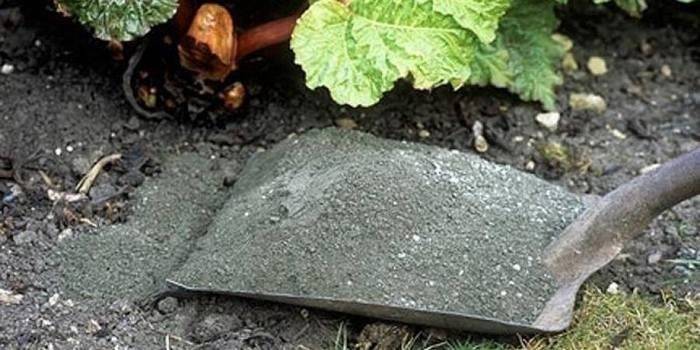 alimentar plantas de jardín con cenizas