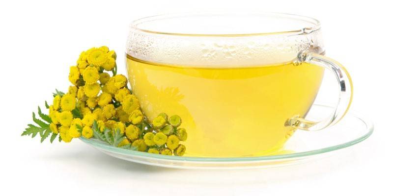 Tansy decocción en una taza