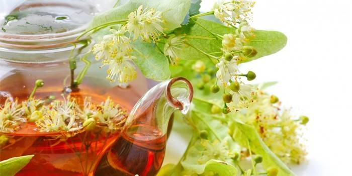 Decocção e flores de tília